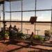 Albuquerque Airport Lounge