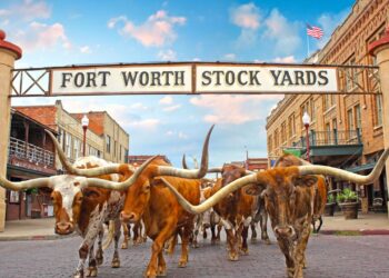 Fort Worth
